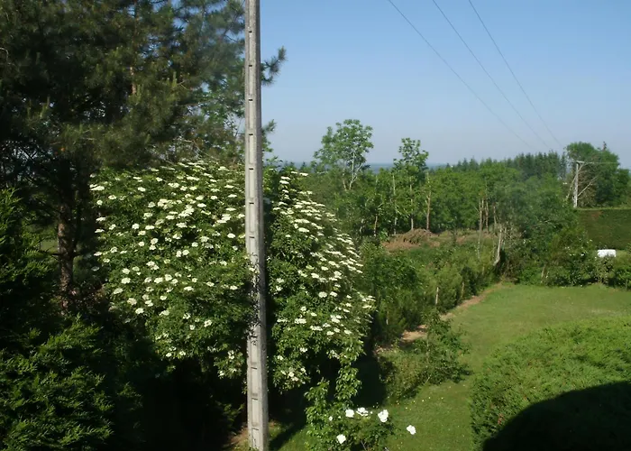 Riv'hotel Отель Maleville